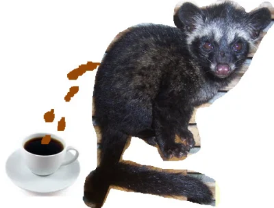 JanParowka - A data mi kawke z tego zwierzaka co robi kupe kawą i jest to najdrozsza ...