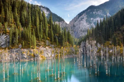 Atexor - Na zdjęciu jezioro Kaindy w Kazachstanie.

Powstało ok. 105 lat w wyniku t...