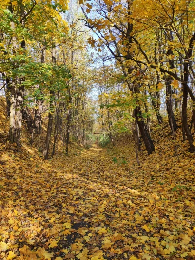 Olusare - #earthporn #mojezdjecie
Poznań - park Cytadela