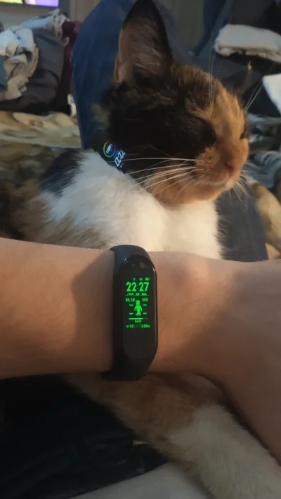 MorenkaKnight - Hehe od teraz będę wiedział gdzie łazi kitku ( ͡° ͜ʖ ͡°)

#miband #xi...