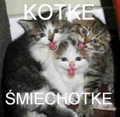 PrawicowyBelkot - @albionik: ale u ciebie nienawiści na profilu :( oto kotki, które, ...