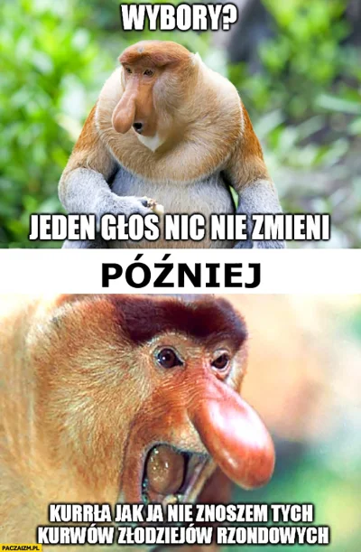 AsuriTeyze - #polak #Heheszki #humorobrazkowy