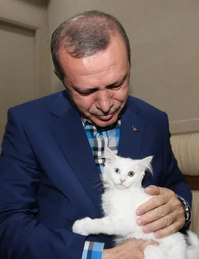 aj_waj - #koty #kozyboners #erdogan #turcja #ocieplaniewizerunkuadolfahitlera #hehesz...