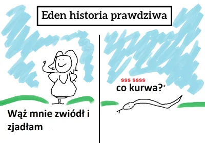 mhrok87 - dlaczego k0biety zwłaszcza p0lki są zdolne do perfidnych manipulacji i kłam...