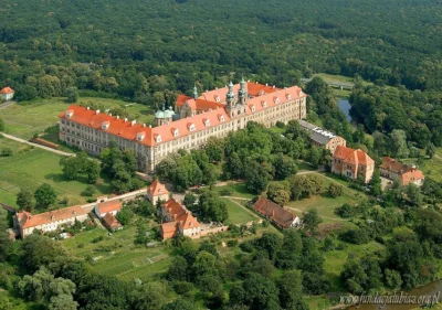 tomkolp - Nie wiem czy to było z parkiem związane ale M.J. miał kupić zakon cystersów...