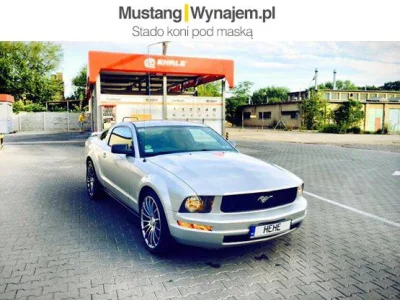 radek-mustangowicz - Są tu jacyś fani Forda Mustanga?? ( ͡° ͜ʖ ͡°) 



Jestem właścic...