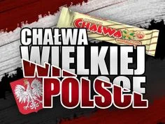 tacohemingwaypl - @meshack: CHAŁWA* WIELKIEJ POLSCE!