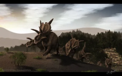 Prekambr - Xenoceratops foremostensis
autor: Chris Masna
#paleoart #paleontologia #...