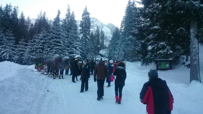 Marcin88o - Wczoraj, godzina 15:00, kilkadziesiąt osób czekających w kolejce na podwó...