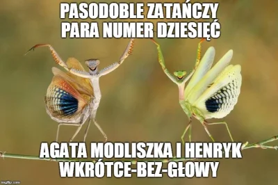 maxx92 - #modliszki #heheszki #humorobrazkowy #tanieczgwiazdami