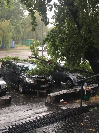 O.....r - Co za dzień w #katowice Wychodziłem z wrotkarni i na moich oczach obaliła s...