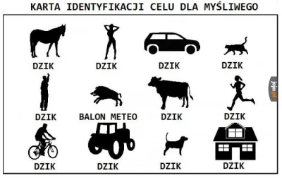 IntelektualnyZbawcaMas - @wiencejfakingcaptcha: Tak jest. Karta identyfikacji się zga...