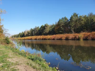 Zbigszew - Jaki świat byłby lepszy, gdyby zawsze była taka pogoda jak dzisiaj... 40km...