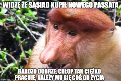 InformacjaNieprawdziwaCCCLVIII - #polak #nosaczsundajski #wholesomememe #meme #humoro...