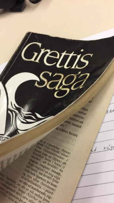 danek01 - Kto chce żeby mu poczytac do snu Sage o Grettirze #saga #islandia #literatu...