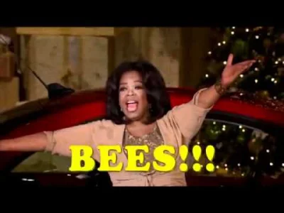 TwigTechnology - @nightec: Pszczoły potrafi po taniości załatwić