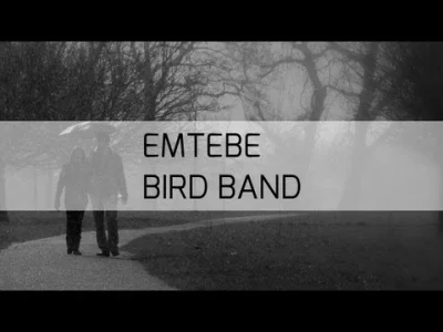 Emtebe - "Bird Band"... Powstał ponad 7 lat temu.



Jako bonus "uLotnie", czyli Bird...