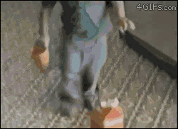 DonWasylDeRoma - #gif #heheszki #fial