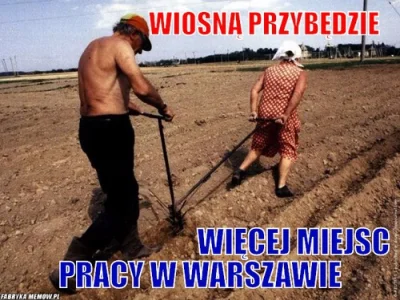 WesolekRomek - Warszawa największą wsią (✌ ﾟ ∀ ﾟ)☞