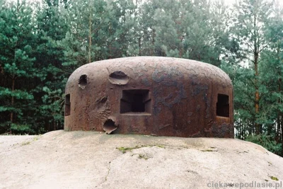 pink_avenger - > Podczas bitwy o Francję Wehrmacht szybko nauczył się, że pociski arm...