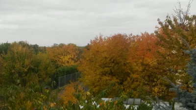 4ch7uRNG - Taka jesien za oknem ( ͡° ʖ̯ ͡°) #jesien