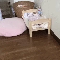 Chodtok - to mogliśmy być my

SPOILER

#smiesznypiesek #zwierzaczki #aww #gownowp...