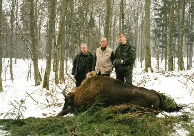 albramis - jakoś dawniej nikomu to nie przeszkadzało ...