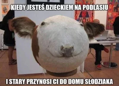 piotr-tokarski - #memy #podlasie #heheszki #humorobrazkowy #bekazkatoli