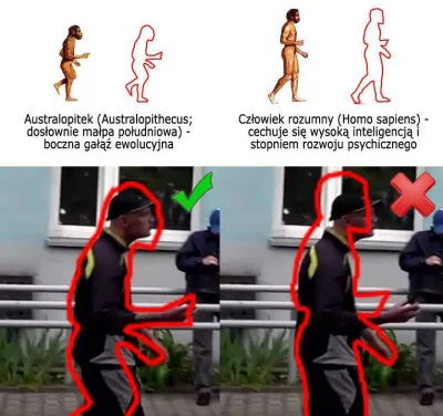 2906518 - xDD sebolopithecus 
#heheszki #humorobrazkowy