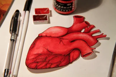 ThinkHealthy - W ciągu doby serce przepompowuje około 7,5 tysiąca litrów krwi na odle...