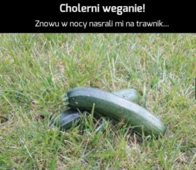 januszzczarnolasu - @kaganiec_oswiaty: Cholerni weganie!