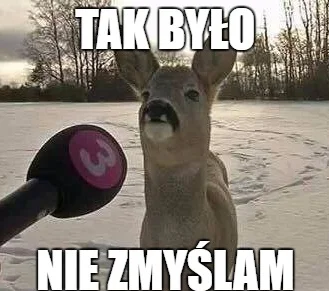 xedarr - @ChochlikLucek: No tak, kiedyś w Rzymie też była taka sytuacja, że wilczyca ...