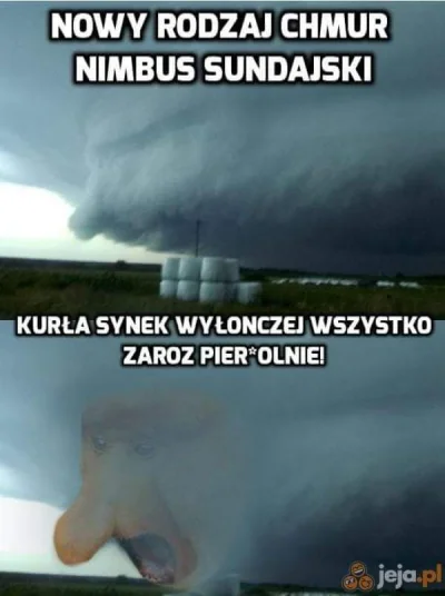 tipikalngaunggoy_sulod - #chmuryboners #nosaczsundajski #polak #heheszki #humorobrazk...