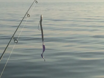 noczesc - @Jach00: jakieś potwory bo dostałam takiego gumowego robaka