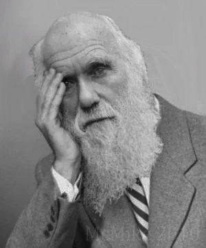 Dziadekmietek - Darwin disapproves