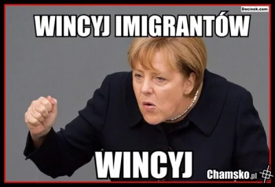 WycinkiToPowaznyProblem