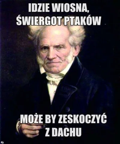 piotrekkk2 - #schopenhauer