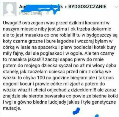 dybligliniaczek - Halo #bydgoszcz Żyjecie?
#heheszki #koty