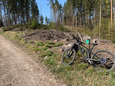 Kaarlo - Korzystając z fantastycznej pogody można było rozdziewiczyć go w terenie (ʘ‿...