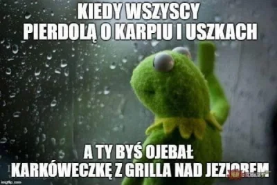 Zbigszew - #humorobrazkowy #memy #swieta #kermit #humor