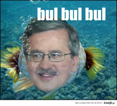 starlajt - #heheszki #humorobrazkowy #pewniebyloaledobre #komorowski