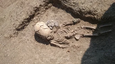 binuska - Sarmackie dziecko ze zdeformowaną czaszką odkryte na Krymie.

Szkielet 1,...