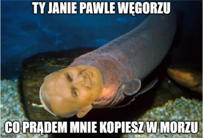 rafciossi - Mireczki i mirabelki, zielonek nowy ze mnie na wypoku
Dodaje powitalne m...