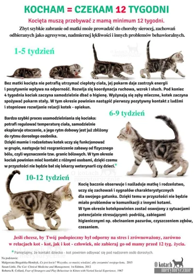 Styrmir - #koty #ciekawostki

Jako że sezon kociakowi w pełni i mase ogłoszeń na ol...