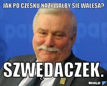 k.....a - Wałęsak Polski...