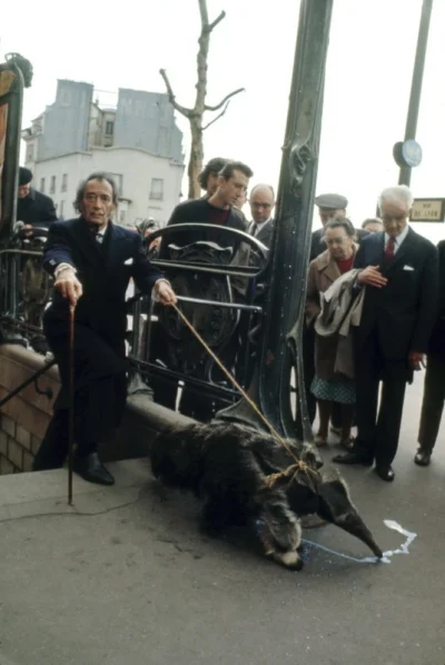 tytanos - > Salvador Dalí walking his anteater in Paris

Mówiłeś coś, że wiesz coś ...