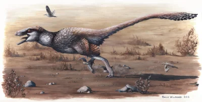 CrazyDino - Dakotaraptor steini - nowy, duży dromeozauryd ("raptor") z późnej kredy A...