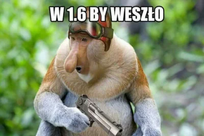 Liber - #polak #csgo 

No weszło by.