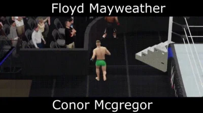 aerosheff - profesjonalna symulacja walki mcgregor vs mayweather XDDDD

#boks #ufc ...