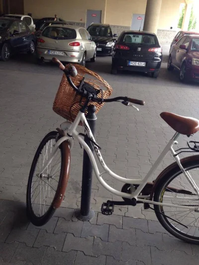 sowiryj - #rower #logikarozowychpaskow
